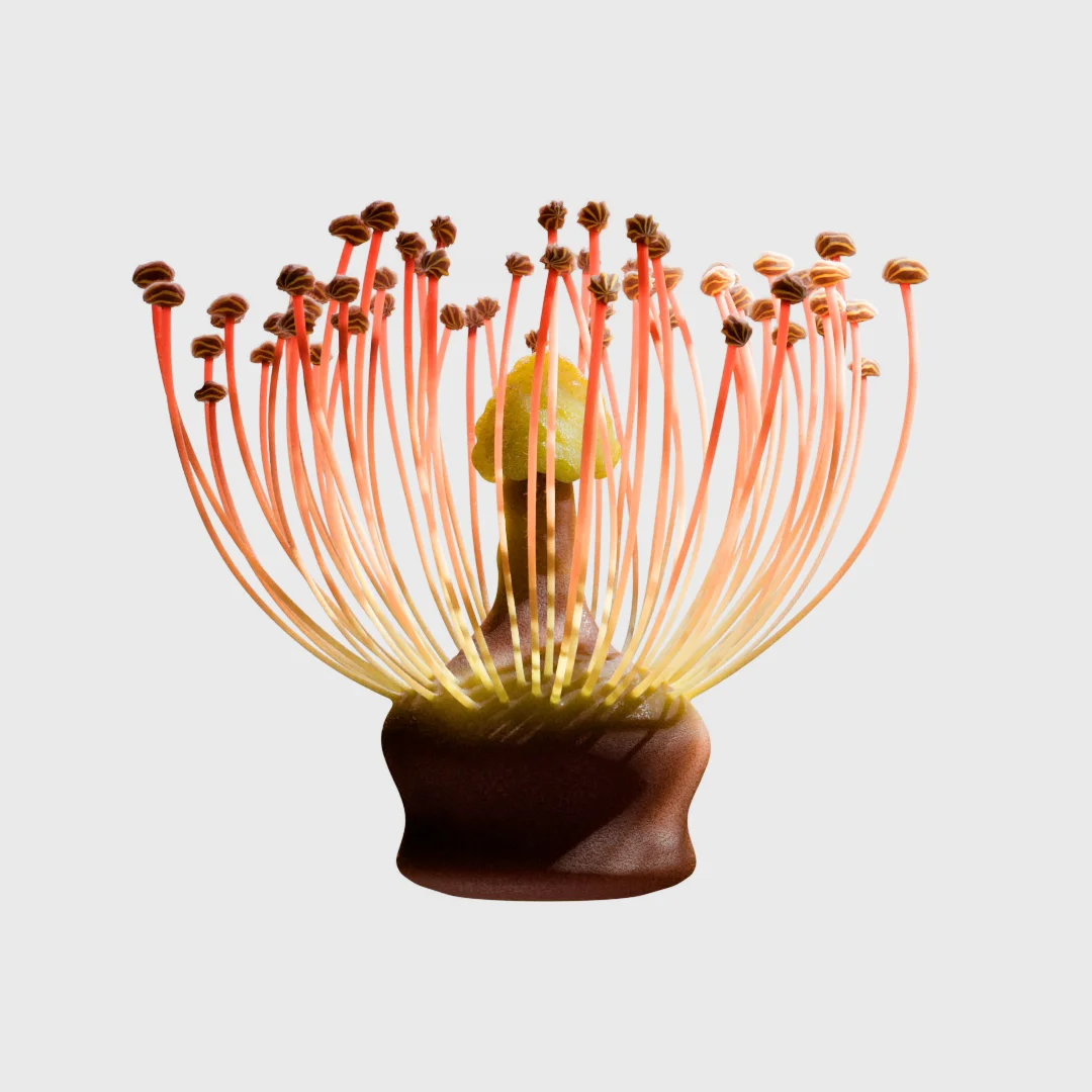 Bourso arrow, launching out of a phone